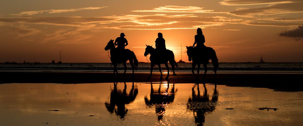 Silhouettes of three people on horses on a beach at sunset.