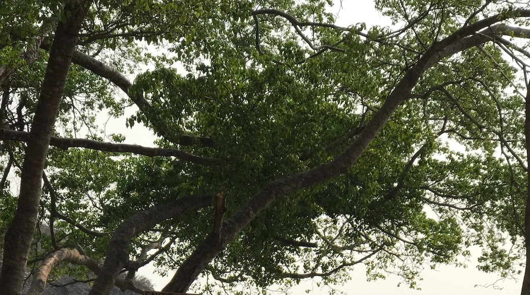 Great beach club.... relaxing in the ocean or pool with great service 😎