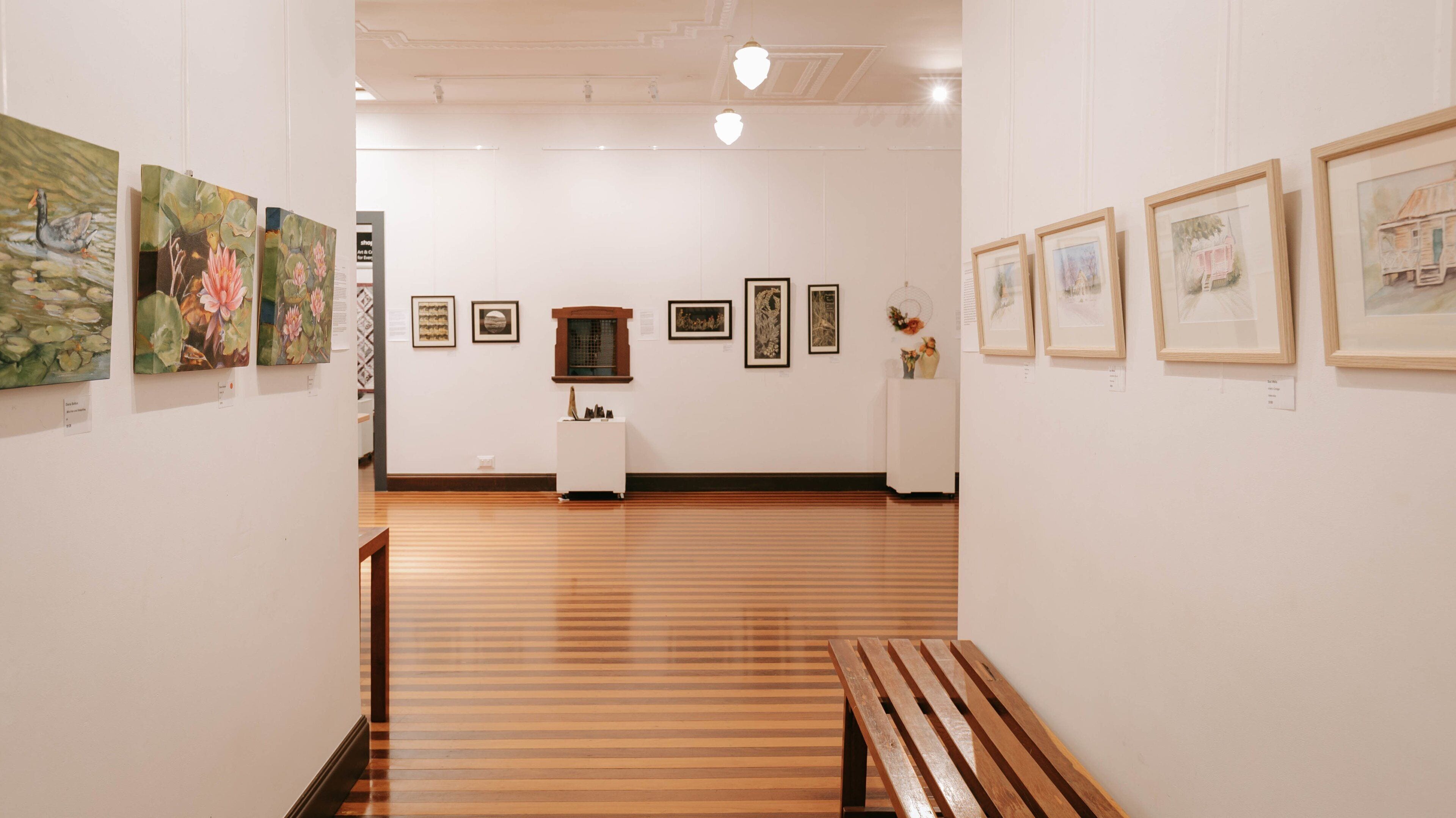 Kingaroy Art Gallery showing art and interior views