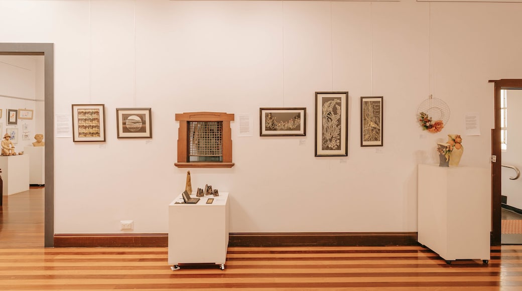 Kingaroy Art Gallery featuring art