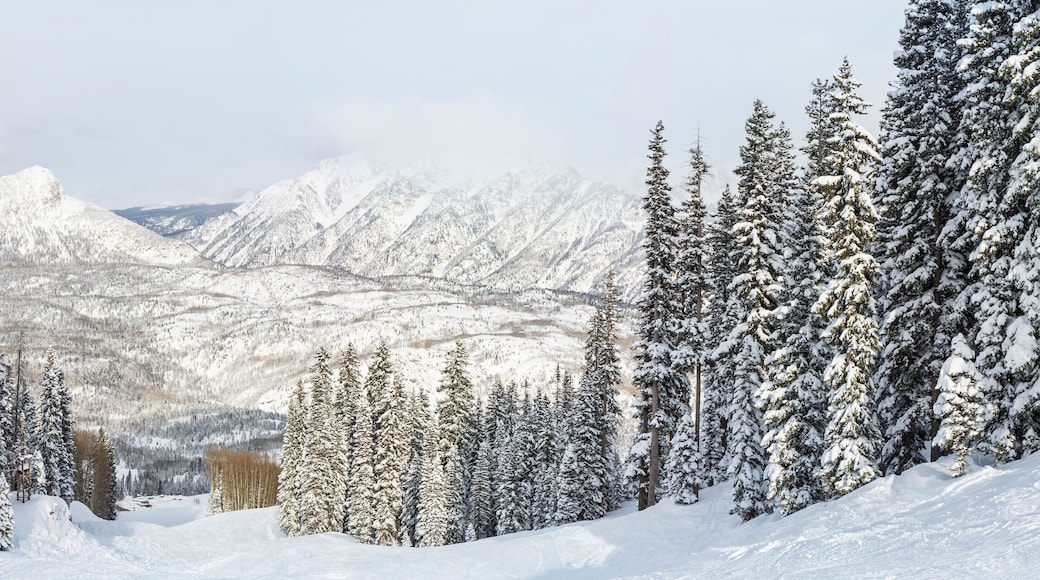 San Juan National Forest