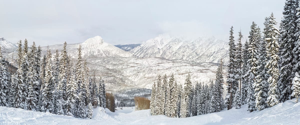 A snow-covered mountain landscape with evergreen trees.