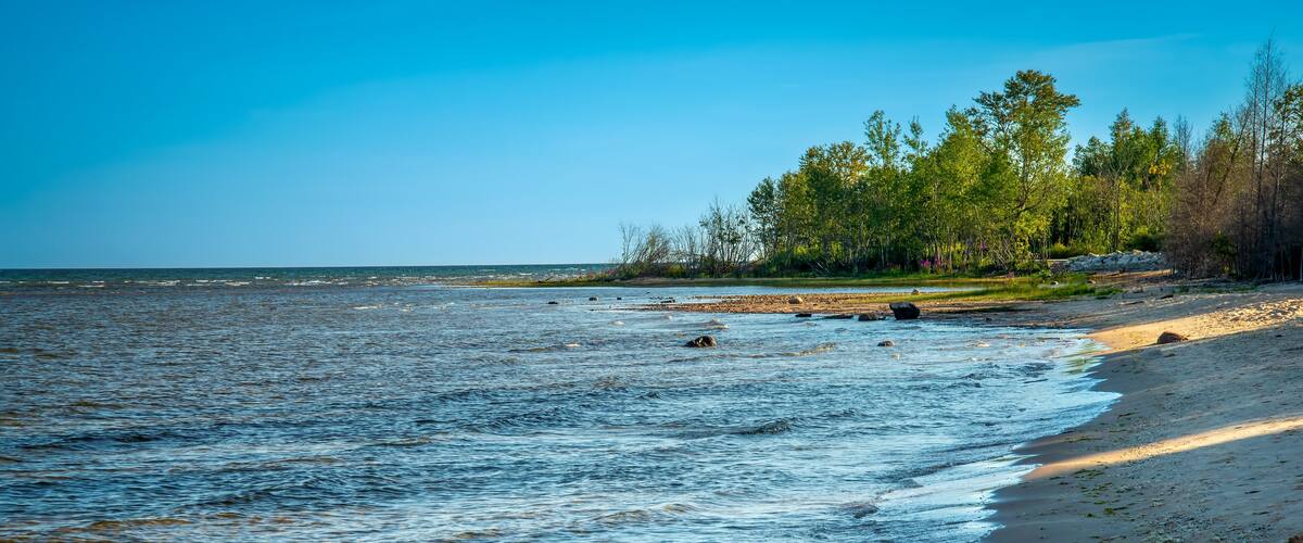 Lake Michigan North Shoreline Beach and Treeline