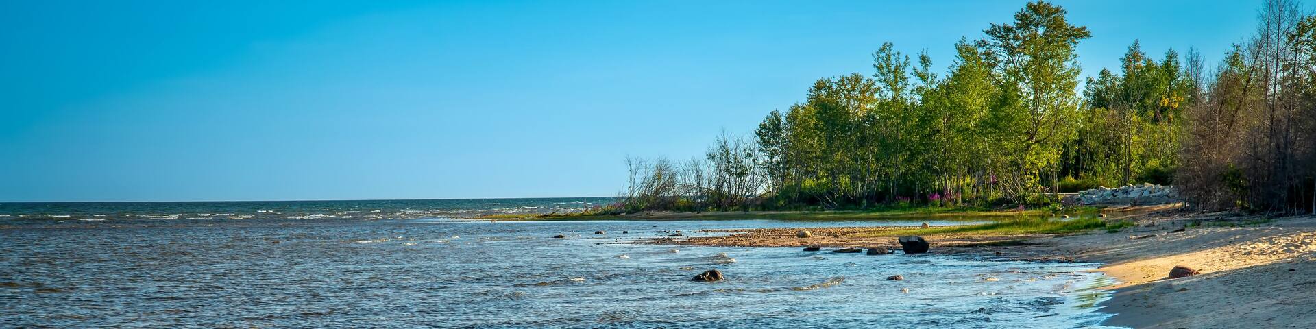 Lake Michigan North Shoreline Beach and Treeline