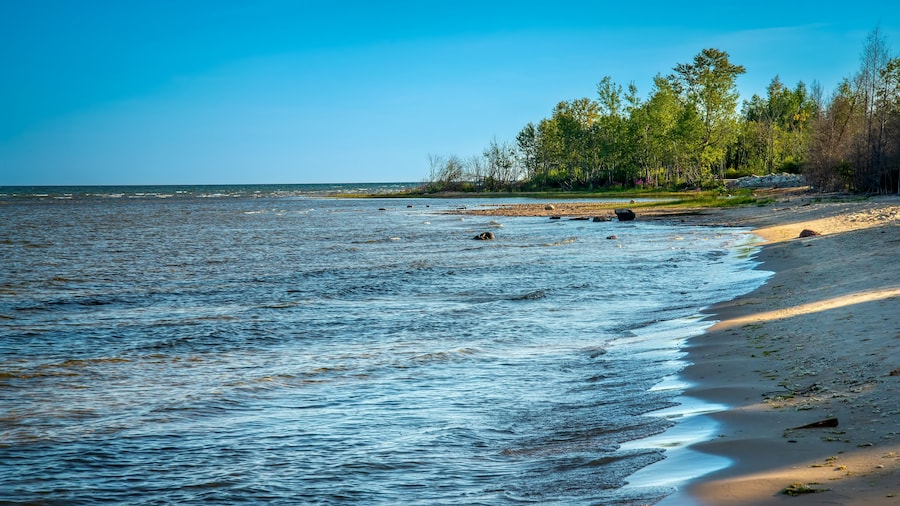 Lake Michigan North Shoreline Beach and Treeline