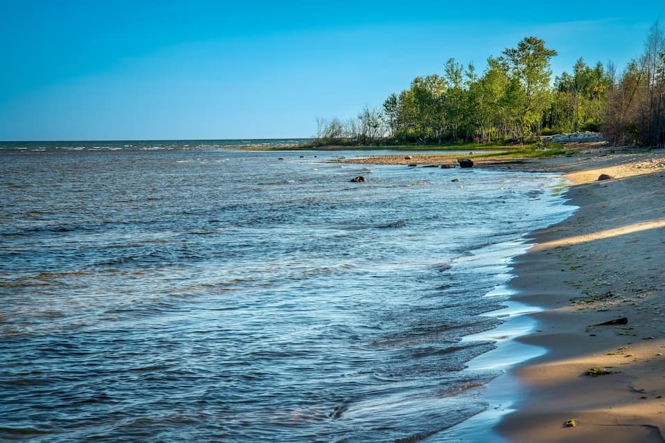 A beach with calm water, sandy shore, and trees in the background.