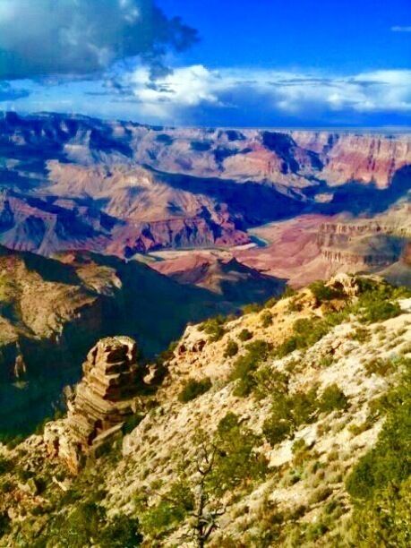 Beautiful colors at the South Rim of the Grand Canyon on a gorgeous October day. A must see when out west.
#Parks #GrandCanyon
#SouthRim

