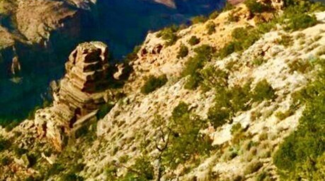 Beautiful colors at the South Rim of the Grand Canyon on a gorgeous October day. A must see when out west.
#Parks #GrandCanyon
#SouthRim