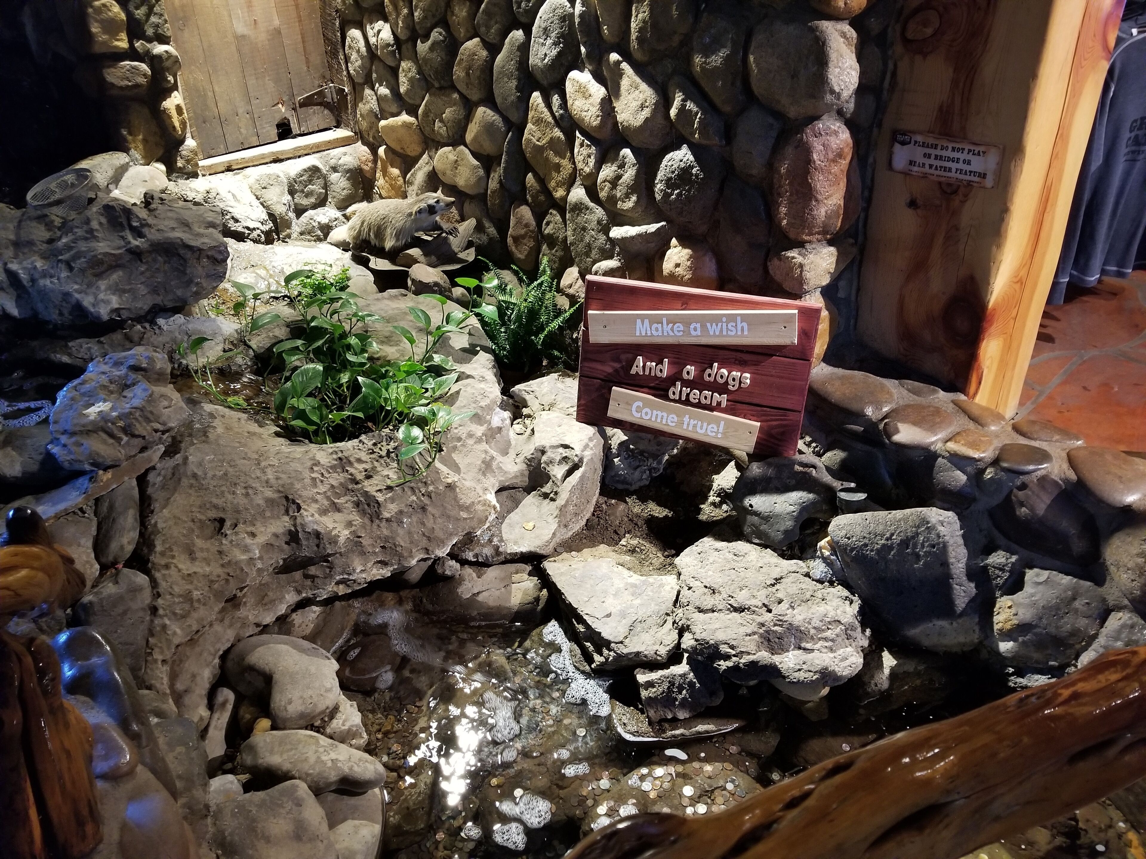 Un pequeño estanque rodeado de rocas y plantas, con un letrero de madera que dice: '¡Haz un deseo y haz realidad el sueño de un perro!'