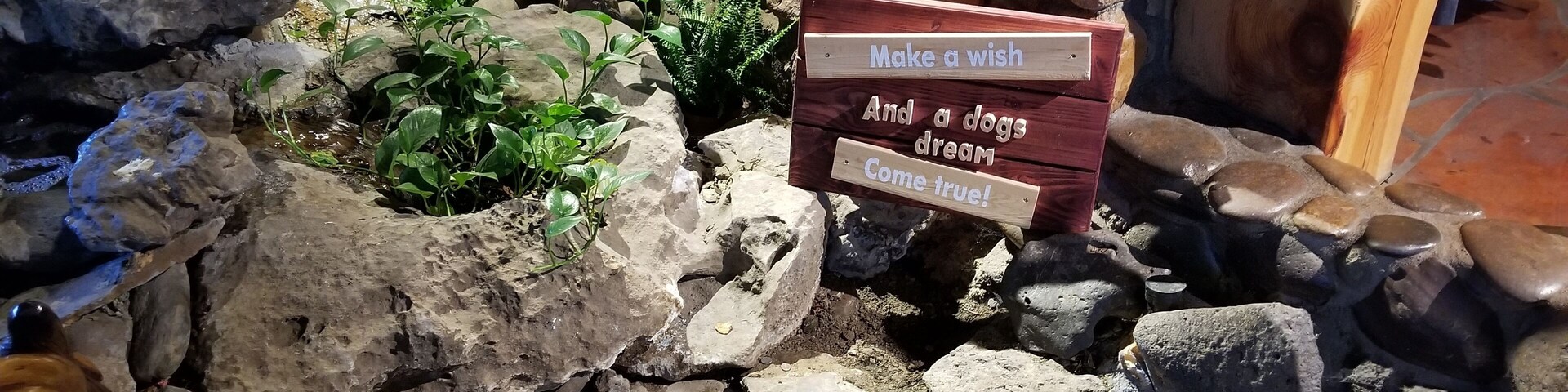 Un pequeño estanque rodeado de rocas y plantas, con un letrero de madera que dice: '¡Haz un deseo y haz realidad el sueño de un perro!'