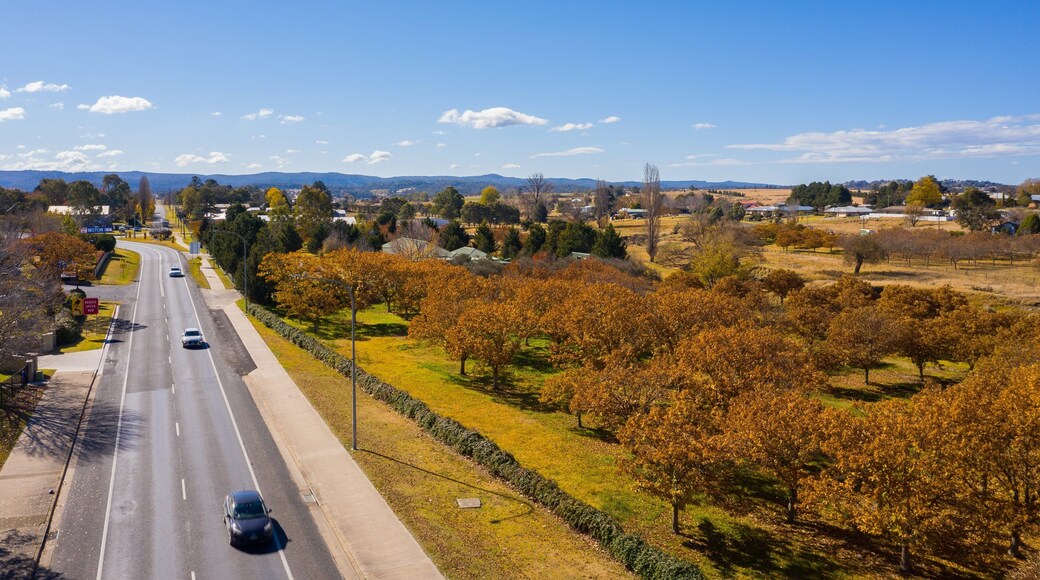 Tenterfield which includes a small town or village and landscape views