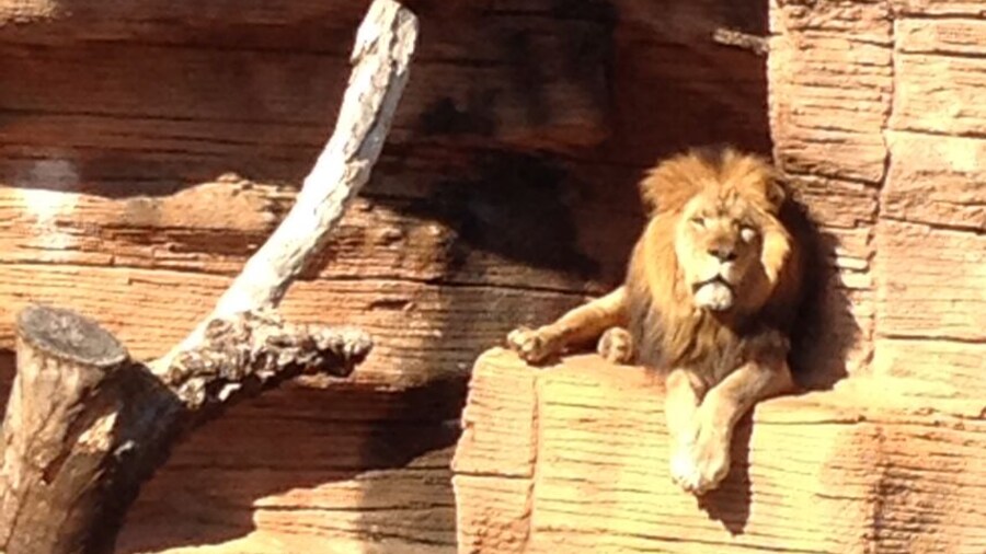 Great place for a date or to be with the family!