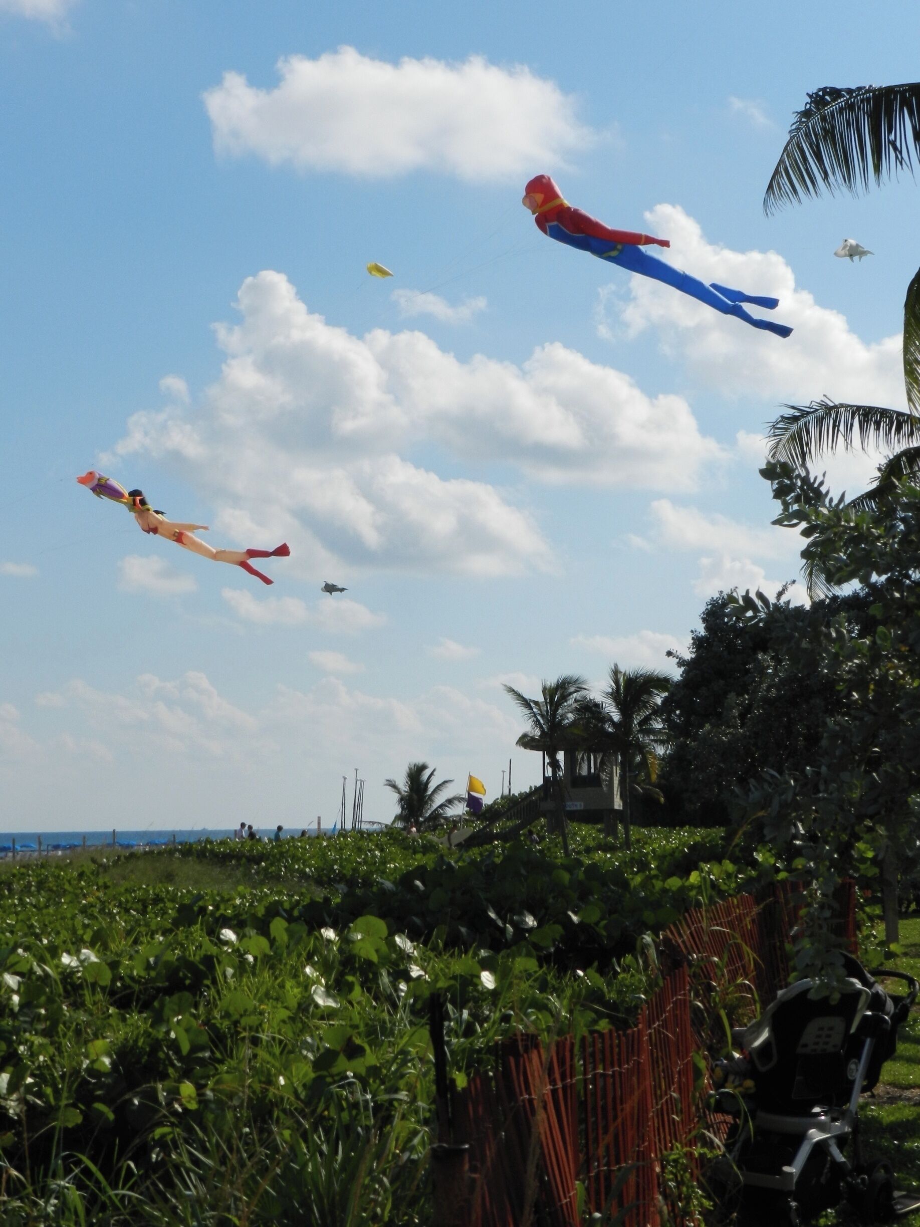 Flying high above the Delray Beach Surf Festival.  #beach  #LikeALocal