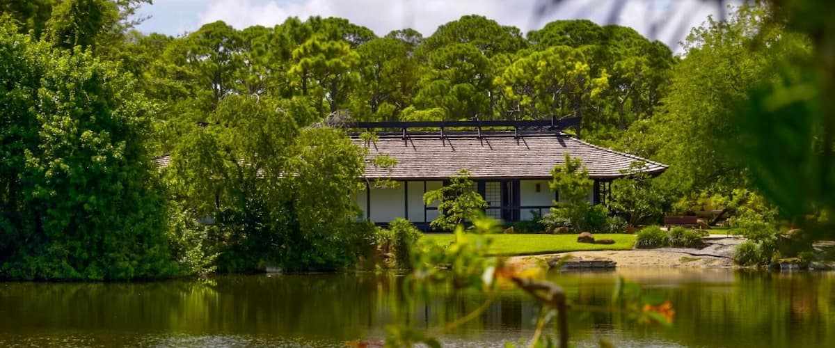 Ami in and peaceful place to walk, meditates and have a good lunch with and incredible view.