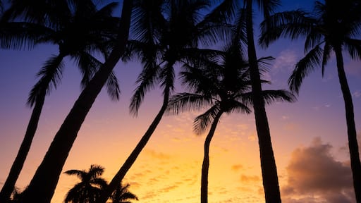 デルレイ ビーチ