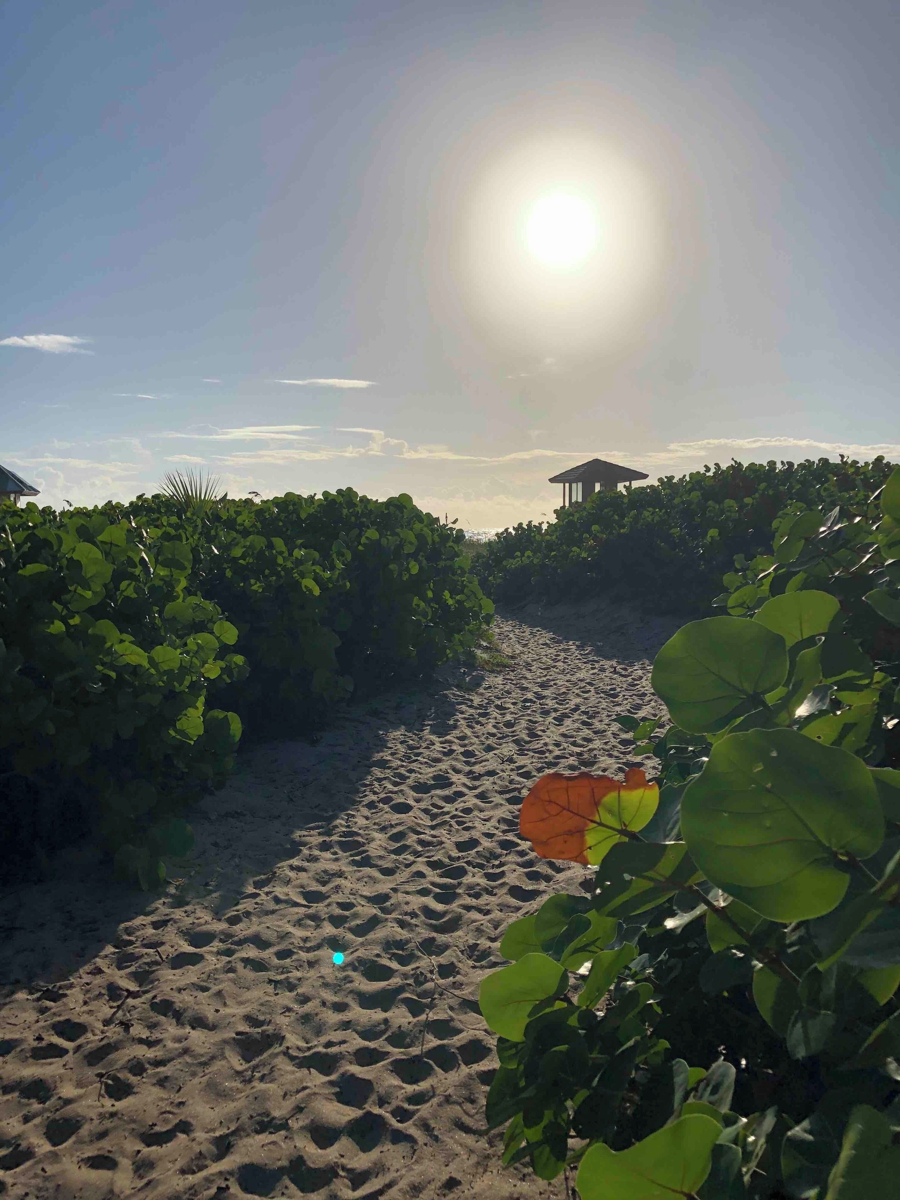 Scenery greeting you for 7:00 am beach yoga 

#florida
#delraybeach
#yoga
#calmandsoothing