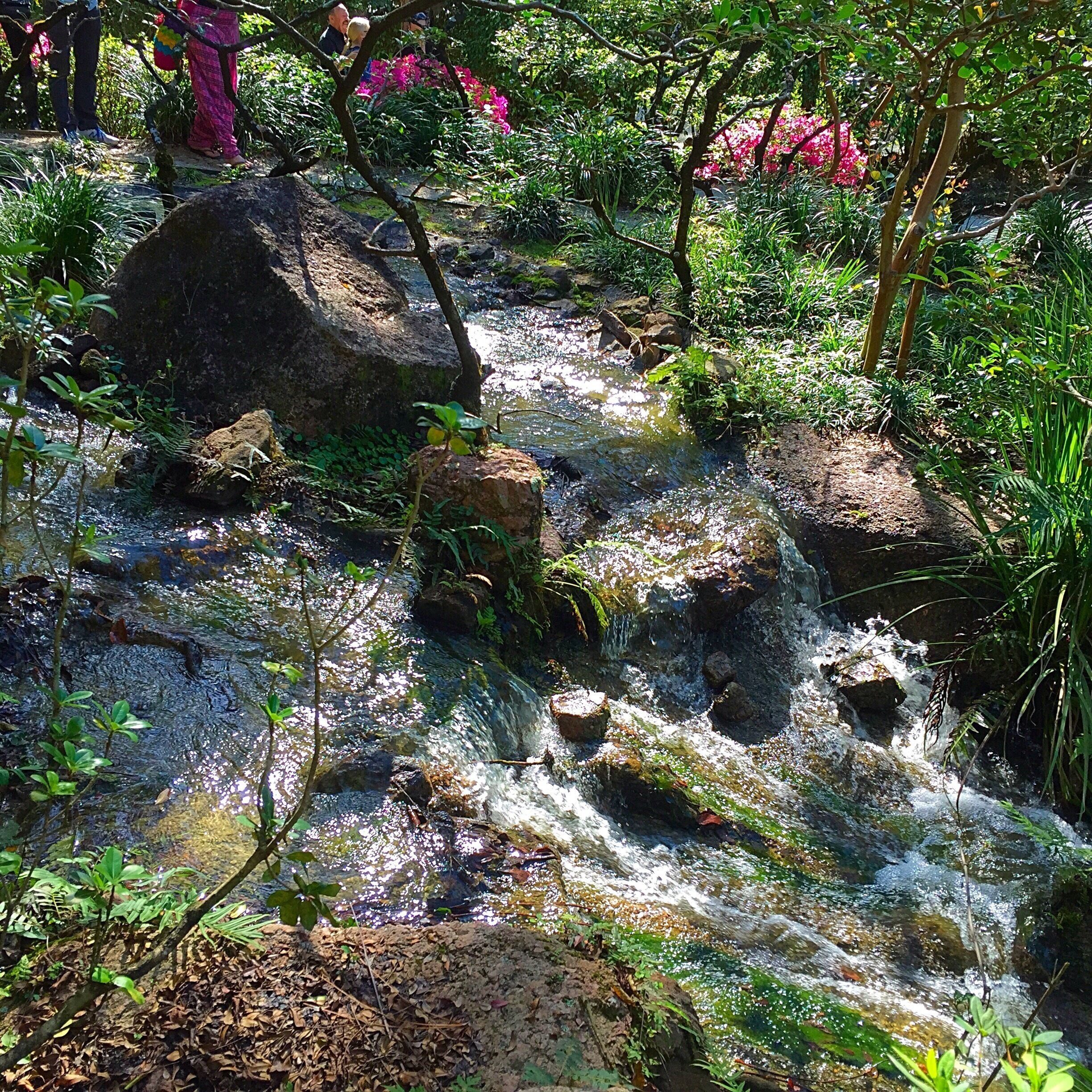 #sundaystroll
#green