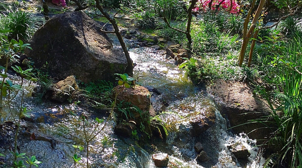 #sundaystroll
#green