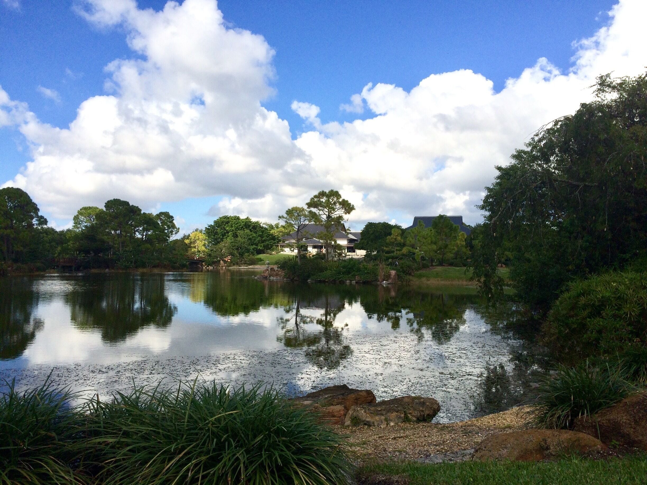 Another one of the beautiful lakes in Morikami Gardens