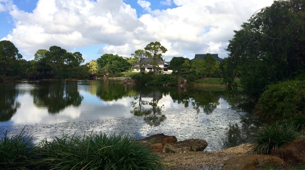 Another one of the beautiful lakes in Morikami Gardens
