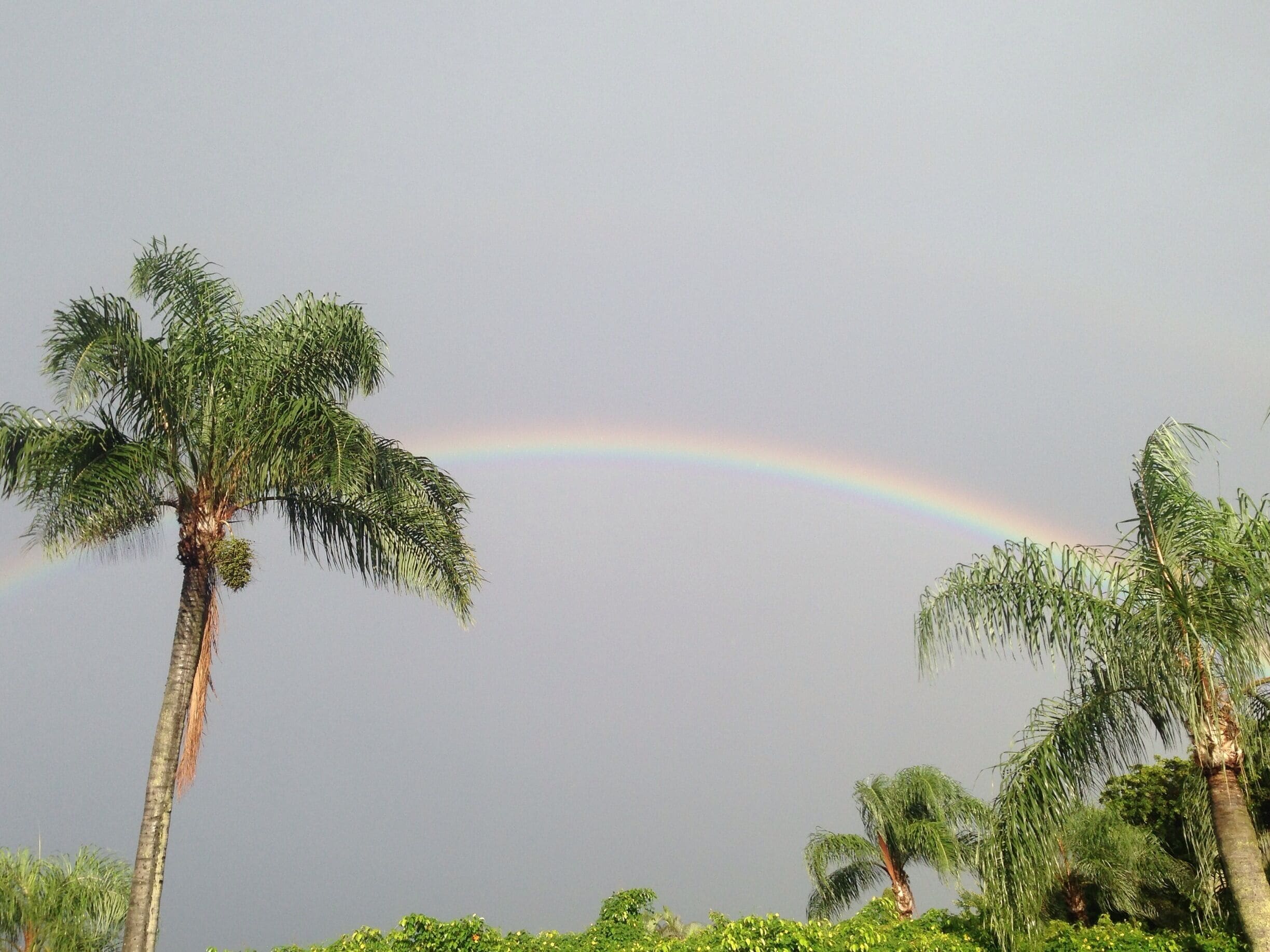 Rainbow brightening the grey sky in Delray Beach, Florida!
