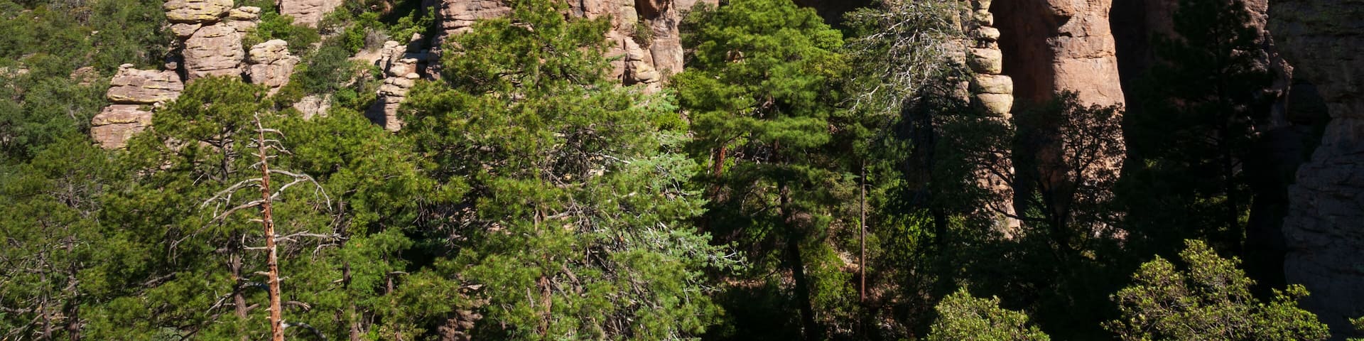 PIllars with Balanced Rock at Chiricahua National Monument
