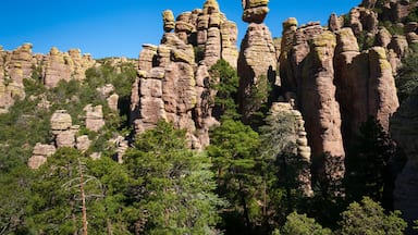 PIllars with Balanced Rock at Chiricahua National Monument