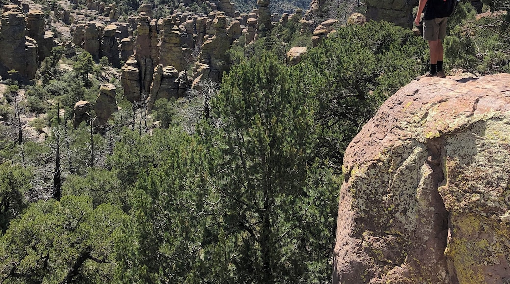 Climbed a rock on the Echo Canyon Trail to get a great view of the towers
#Adventure #GreatOutdoors #Hiking #Roadtrip #Arizona