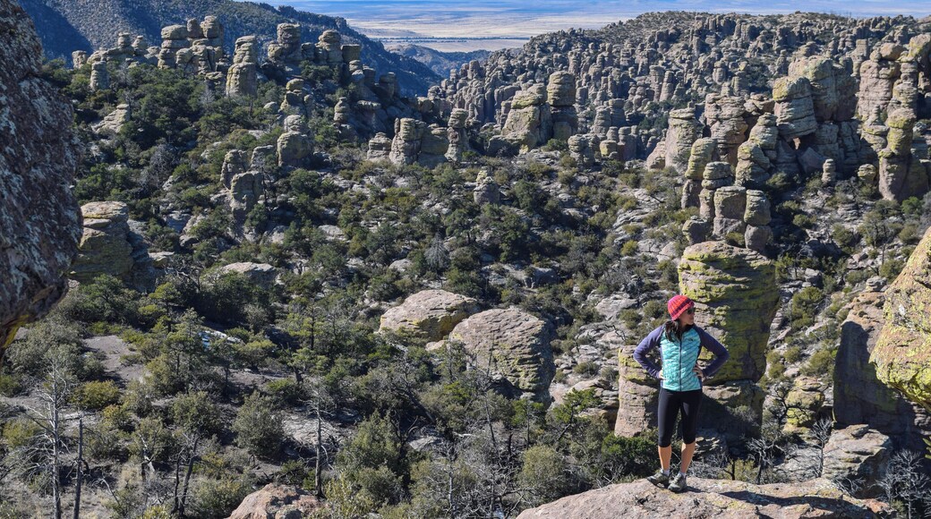 When you think of #arizona, most of the hype goes to the Grand Canyon, Petrified Forest National Park, or Antelope Canyon. However, Southern Arizona has its own awesome nature! This photo was taken at #chiricahuanationalmonument, just 1.5 hours South of #tucson. And the best part is, it's free and un-crowded! You can read more about how to get here and what to do on my blog post: https://culturalfoodies.com/2019/12/31/what-to-do-and-where-to-eat-in-tucson-arizona/
#lifeatexpedia
#livetotravel
#travel
#wintergetaway
#sun