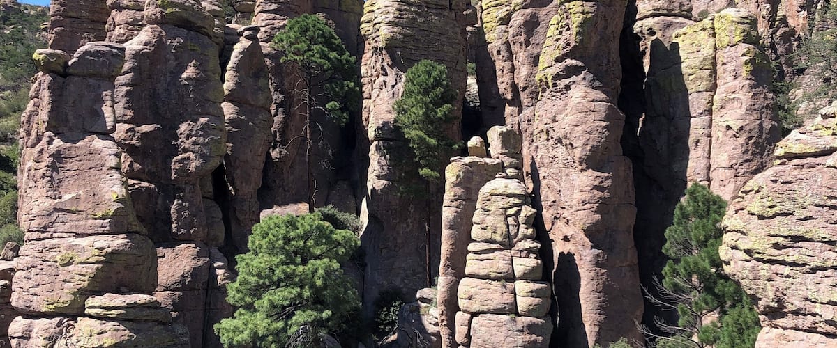 Giant towers of hardened volcanic ash surrounded by a forest up in the mountains. It’s an amazing place to take a hike!
#Adventure #Hiking #Outdoors #GreatOutdoors #Nature #Unique #Mountain