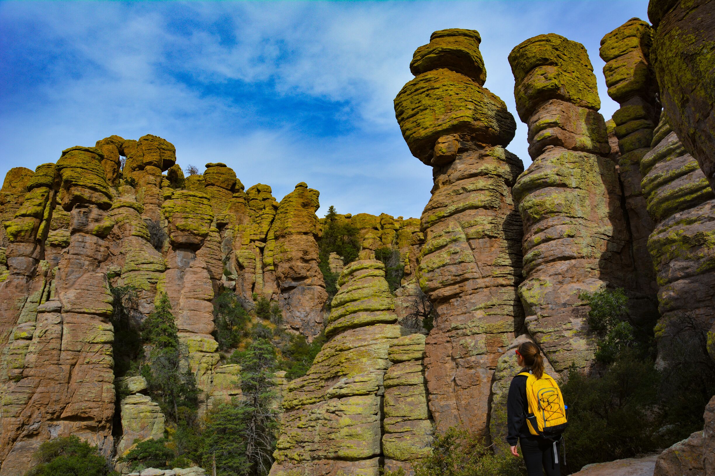 The impressive rock formations loom large on any of the loops at this park. #Takeahike