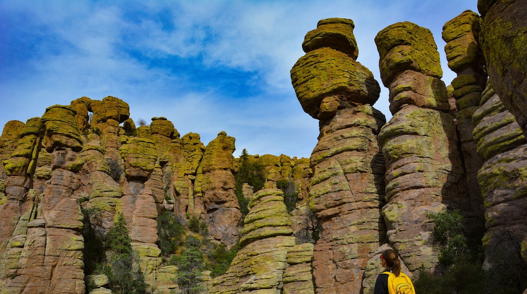 The impressive rock formations loom large on any of the loops at this park. #Takeahike