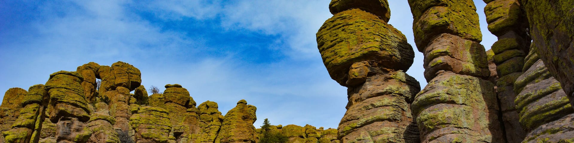 The impressive rock formations loom large on any of the loops at this park. #Takeahike