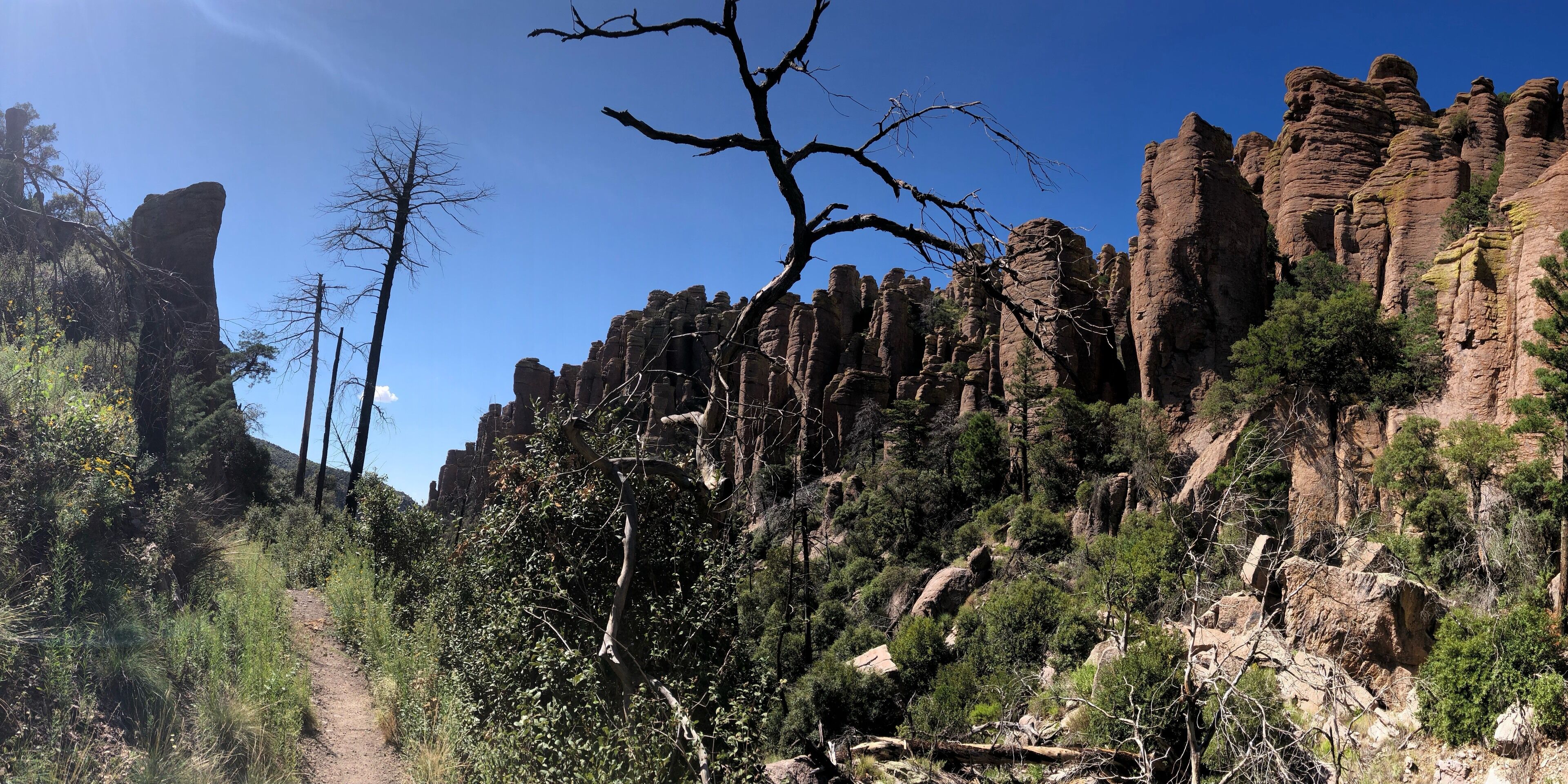 Took a nice hike today at echo canyon, the trail was fun to hike with a bunch of rocks and then you loop around for a nice view of a canyon #adventure
