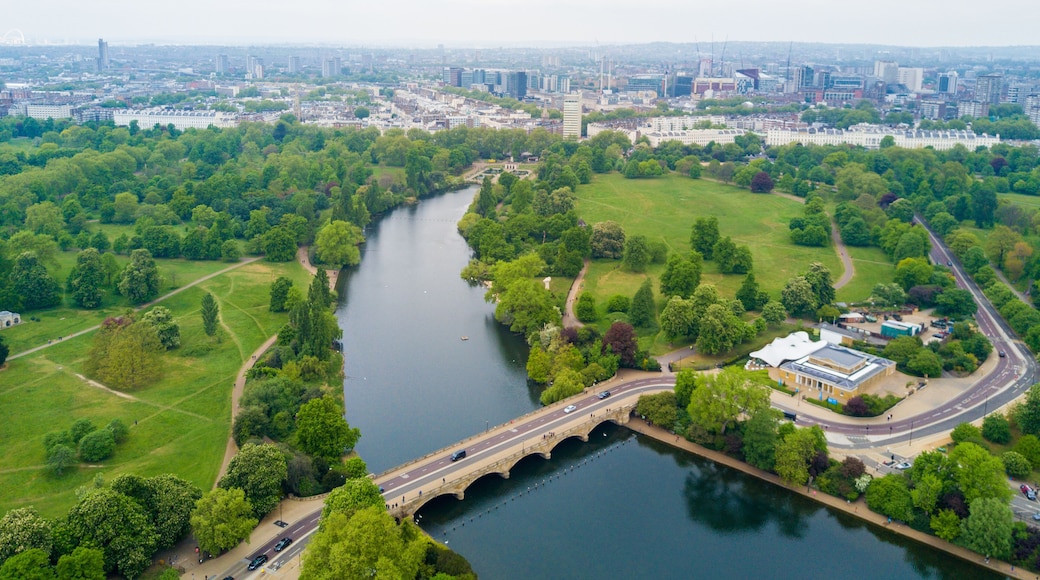 Aerial Hyde park view in London