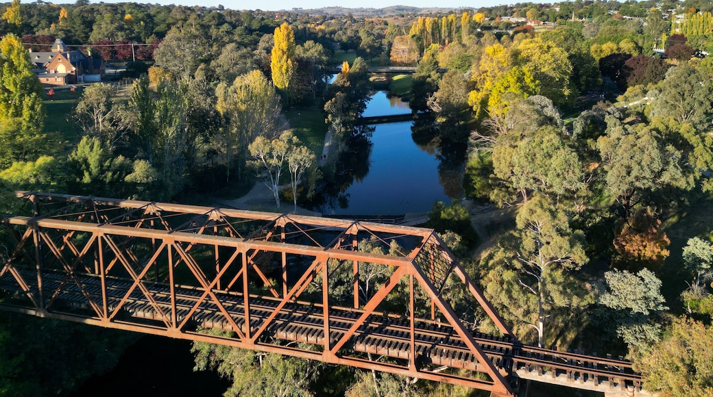 Eine Brücke über einen Fluss, umgeben von Bäumen und einer in der Ferne liegenden Stadt.