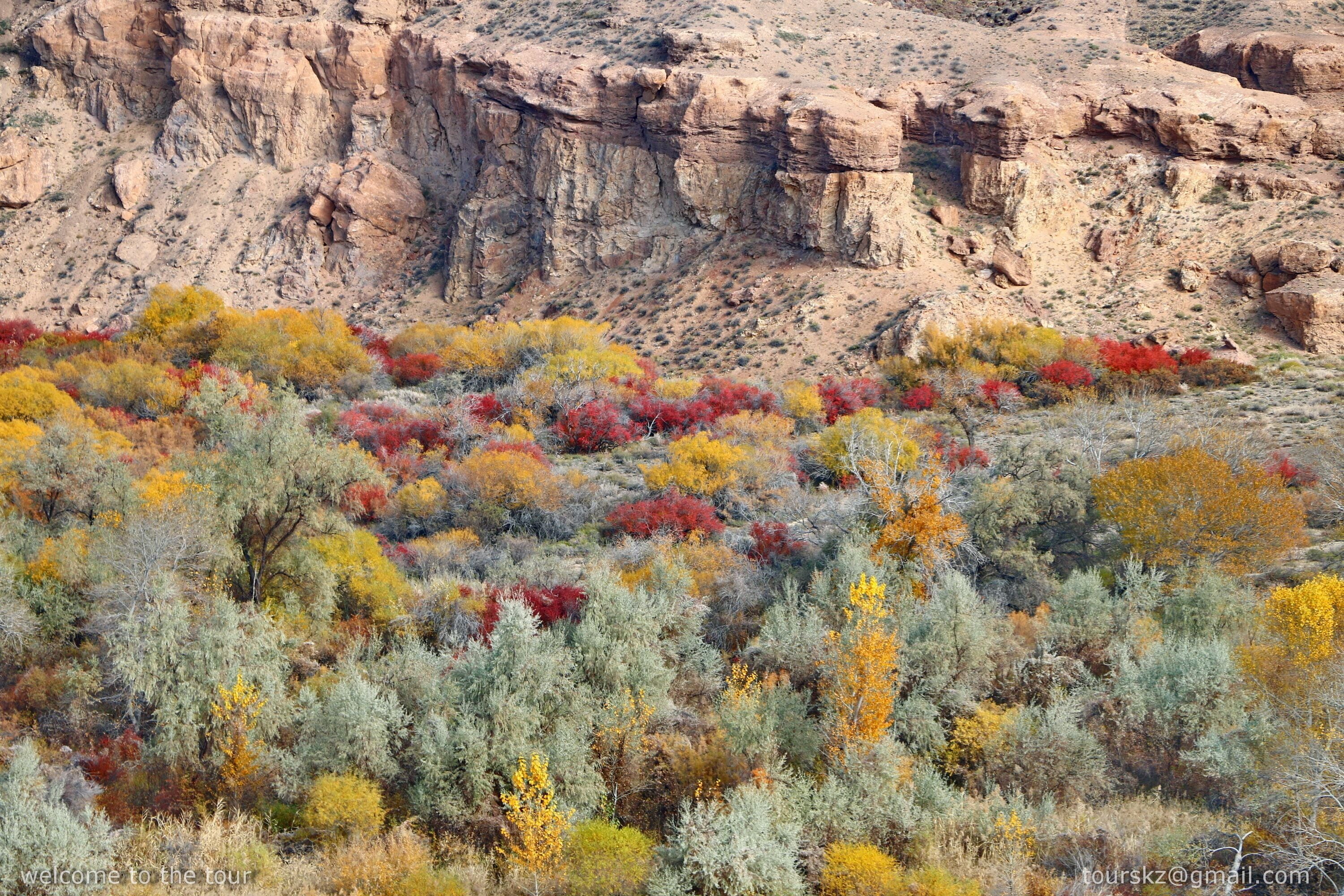 Charyn Park. Kazakhstan.