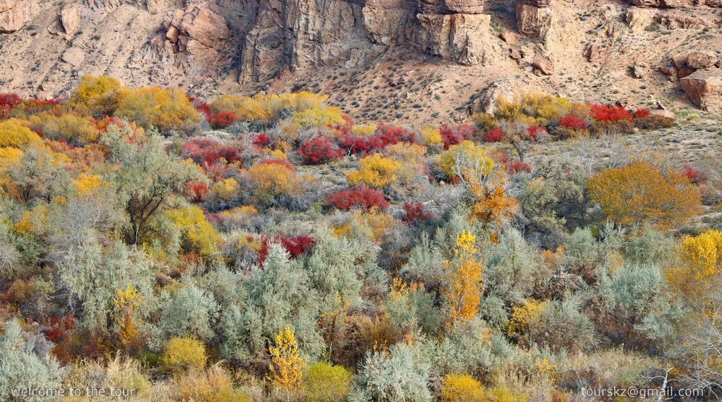 Charyn Park. Kazakhstan.