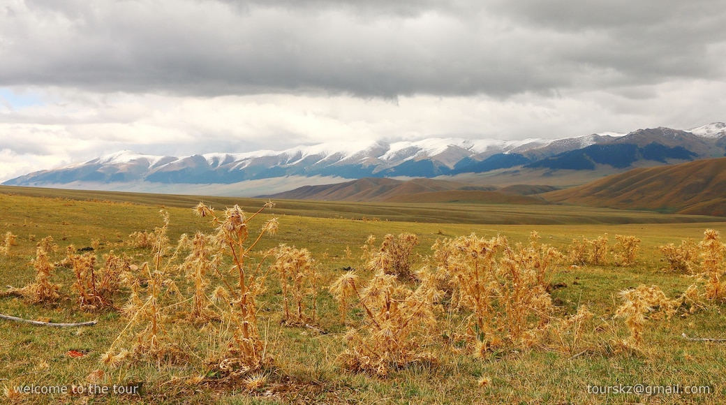 Последние бойцы лета.
The last fighters of the summer.