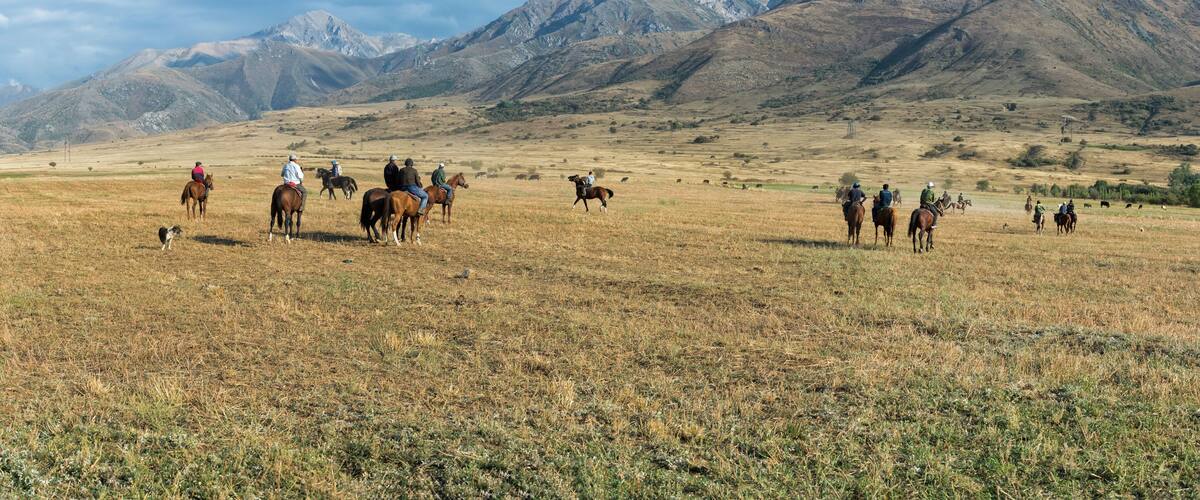 A group of people riding horses across a grassy field with mountains in the background.