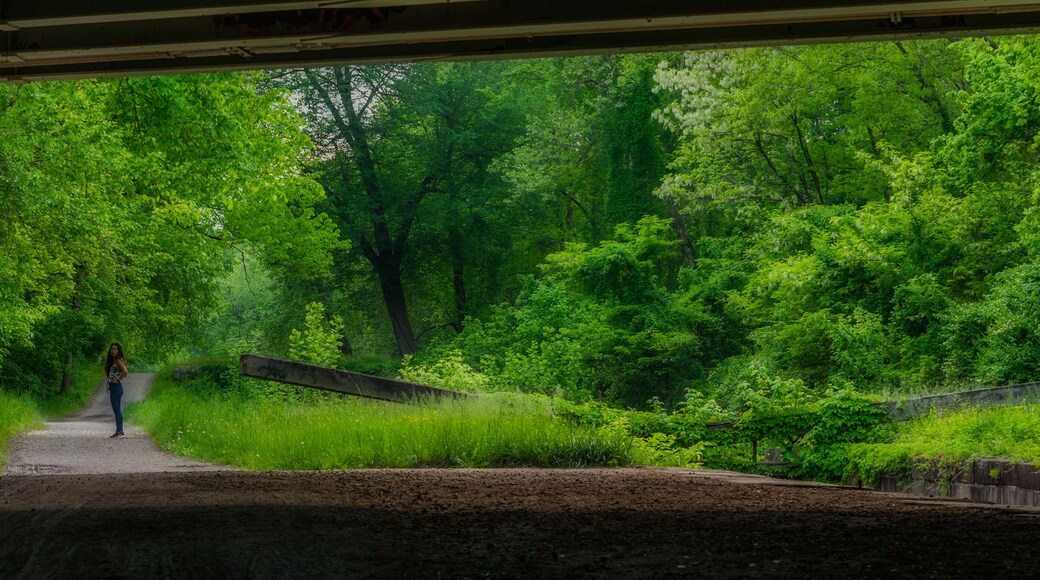 Chesapeake & Ohio-kanalens trekkvei