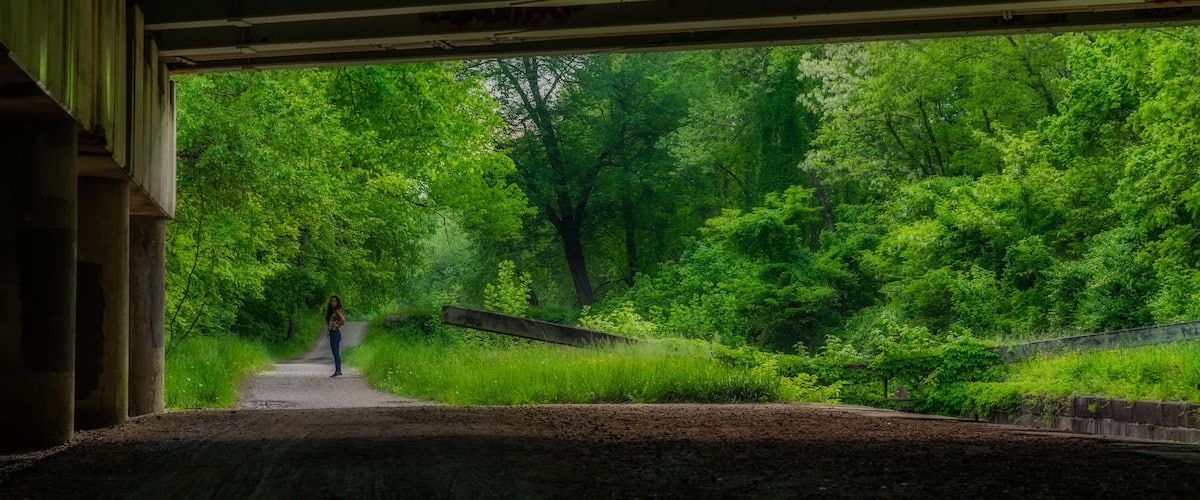 A dirt path leading through a lush green forest under a bridge.