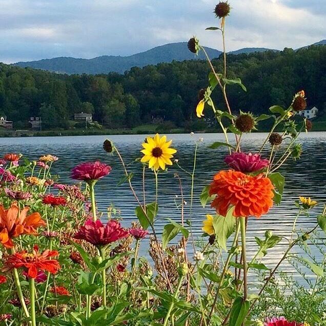 Summer day stroll around Lake Junaluska in Haywood County NC #mountains 
