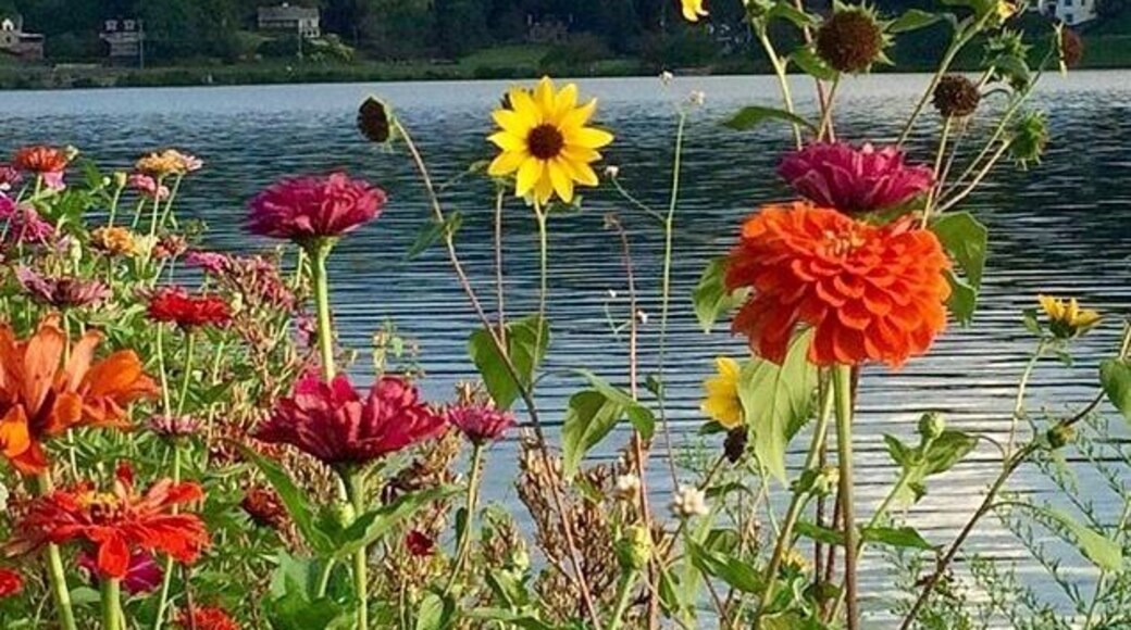 Summer day stroll around Lake Junaluska in Haywood County NC #mountains