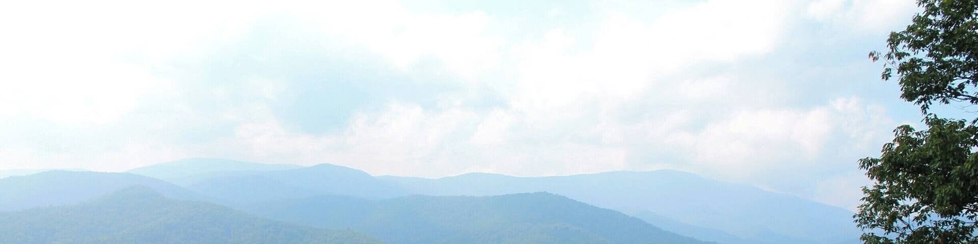 A view of the Cataloochee Valley. This is an area in the northern-most section of The Great Smoky Mountains National Park. It is one of the best areas of the park to see elk but the drive down the mountains into the valley is a white-knuckled drive the entire way. But it is well worth it, not only for the beautiful scenery, but also because you're almost guaranteed to see elk. #blue #smokymountains #mountains #tennessee #greatsmokymountain #nationalparks #EndlessSummer #Green