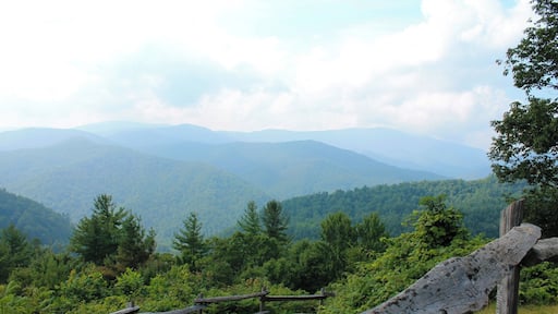 A view of the Cataloochee Valley. This is an area in the northern-most section of The Great Smoky Mountains National Park. It is one of the best areas of the park to see elk but the drive down the mountains into the valley is a white-knuckled drive the entire way. But it is well worth it, not only for the beautiful scenery, but also because you're almost guaranteed to see elk. #blue #smokymountains #mountains #tennessee #greatsmokymountain #nationalparks #EndlessSummer #Green