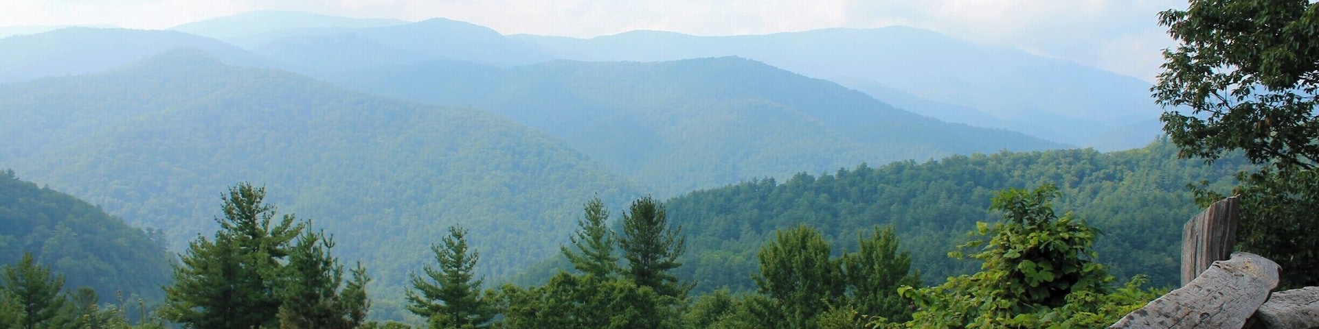 A view of the Cataloochee Valley. This is an area in the northern-most section of The Great Smoky Mountains National Park. It is one of the best areas of the park to see elk but the drive down the mountains into the valley is a white-knuckled drive the entire way. But it is well worth it, not only for the beautiful scenery, but also because you're almost guaranteed to see elk. #blue #smokymountains #mountains #tennessee #greatsmokymountain #nationalparks #EndlessSummer #Green