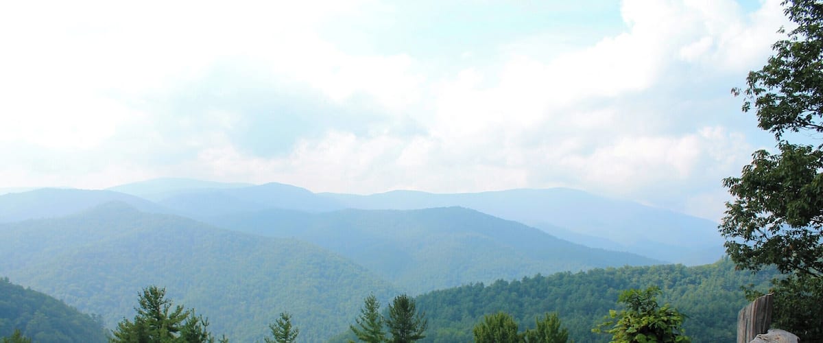 A view of the Cataloochee Valley. This is an area in the northern-most section of The Great Smoky Mountains National Park. It is one of the best areas of the park to see elk but the drive down the mountains into the valley is a white-knuckled drive the entire way. But it is well worth it, not only for the beautiful scenery, but also because you're almost guaranteed to see elk. #blue #smokymountains #mountains #tennessee #greatsmokymountain #nationalparks #EndlessSummer #Green
