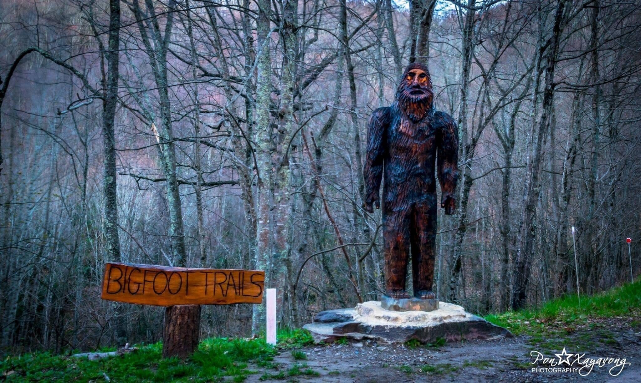 If u drive on Cove Creek rd to get to cataloochee valley Overlook, then u gonna encounter this Bigfoot on the side of the road. He scary me a little cuz the road was a little dark.