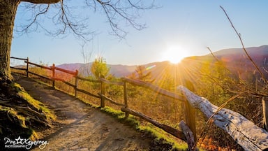 Cerca de madeira ao longo de um caminho de terra, com uma árvore à esquerda e uma montanha ao fundo.
